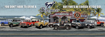 Bronco Reunion 55x19.5 Banner - Laid-Back